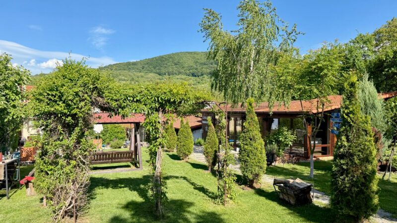 Pensiune Cu Ciubar Hunedoara