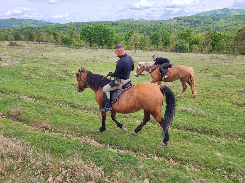 Weekend All-Inclusive În Transilvania Weekend All-Inclusive În Transilvania