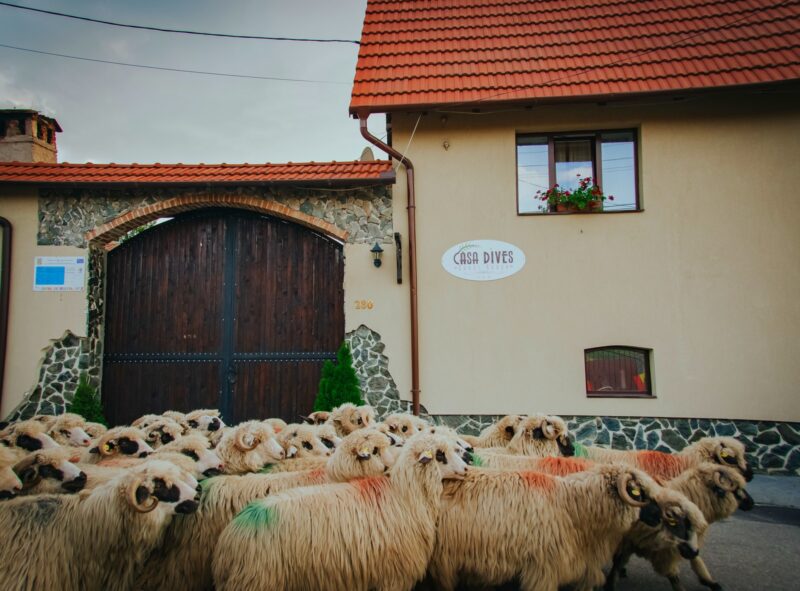 Vacanță De Paște În România Vacanță De Paște În România