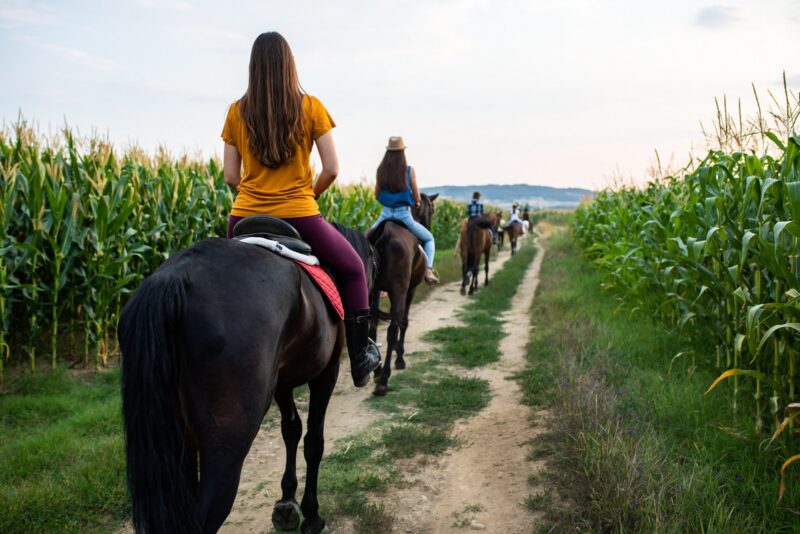 Vacanță De Paște În România Vacanță De Paște În România