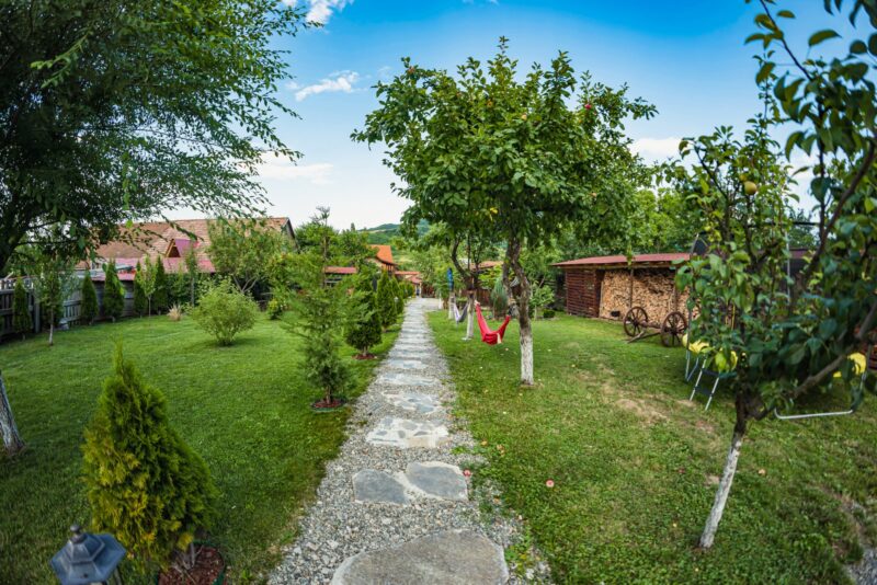 8 Destinații Unde Să Mergi Cu Copii În România Unde Să Mergi Cu Copii În România