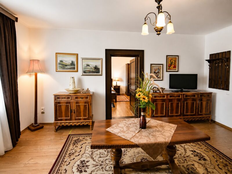 Apartament Cu Vedere La Gradina